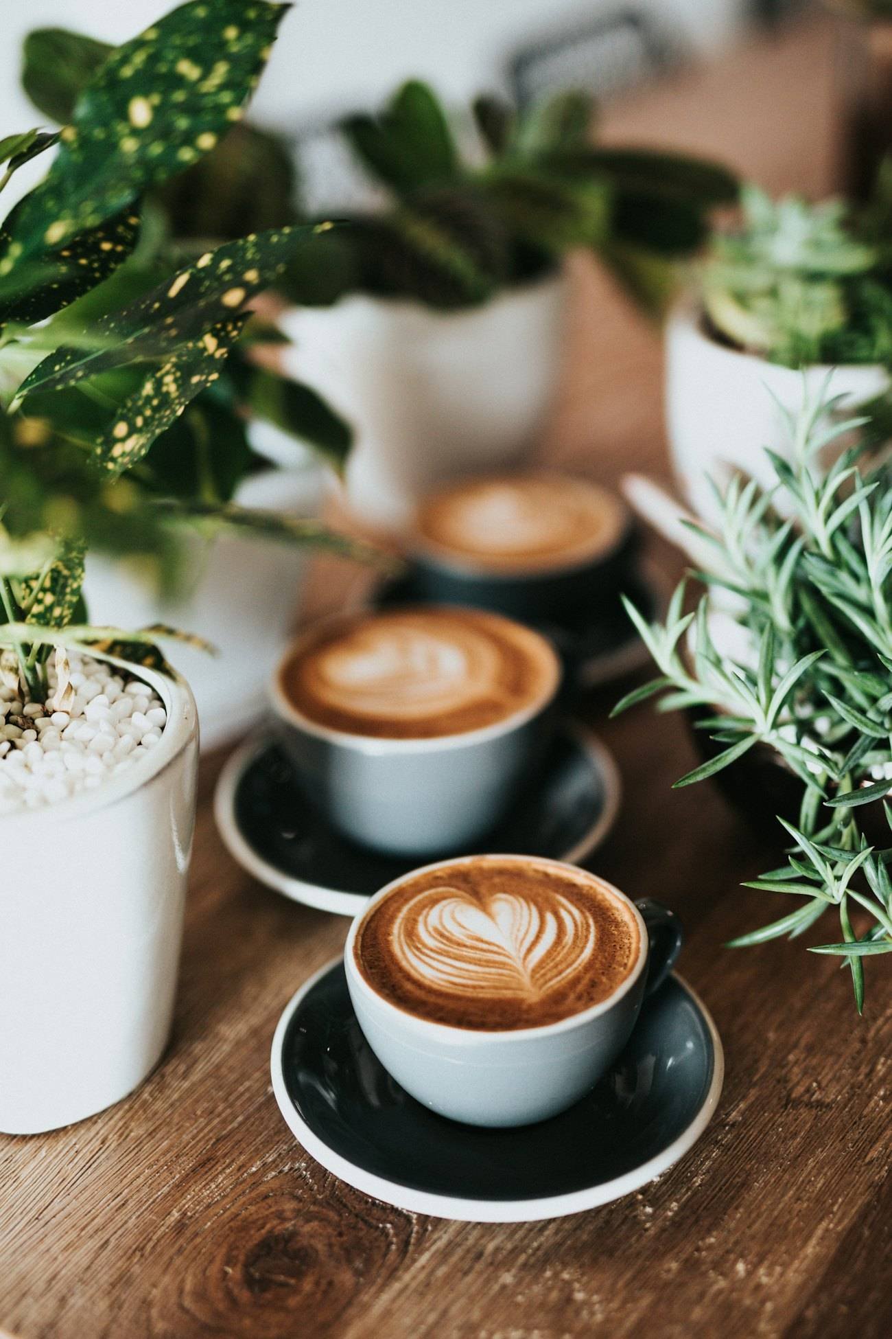 Two flat whites with latte art on a wooden table